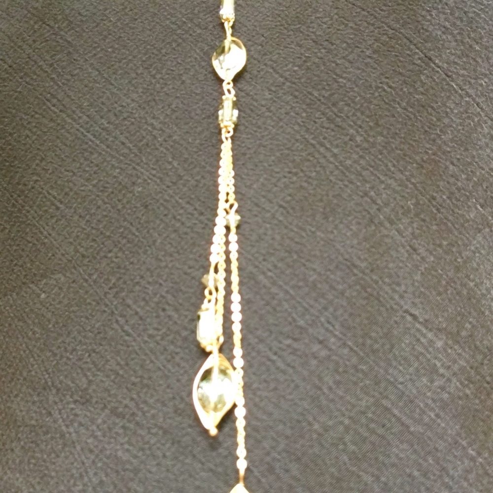 Long chain Necklace